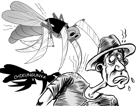 chikungunya editorial cartoon by bladimer usi